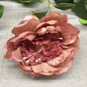 IMG_1939