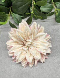 Dalia wyrobowa FME074380