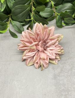 Dalia wyrobowa FME074380