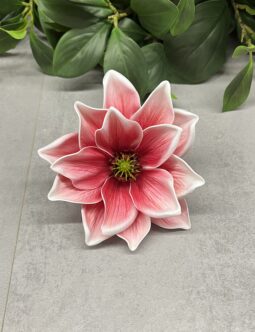 Magnolia LEV028