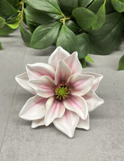 Magnolia LEV028