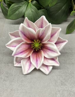 Magnolia LEV028