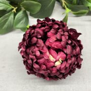IMG_2451