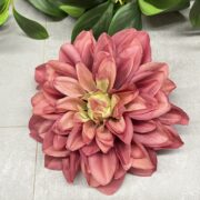 IMG_2501