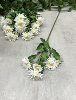 Aster na gałązce SUN662