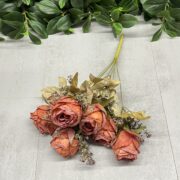 IMG_2602