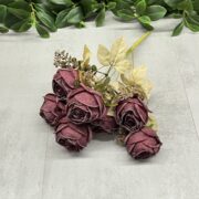 IMG_2604