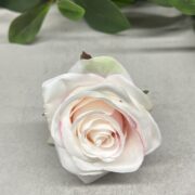 IMG_2677