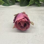 IMG_3186