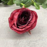 IMG_3879