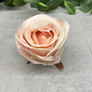 IMG_3884