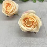 IMG_3889