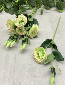 Eustoma SUN901