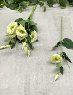 Eustoma SUN901