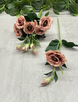 Eustoma SUN901