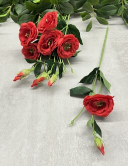 Eustoma SUN901