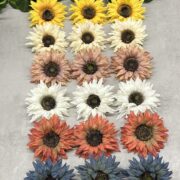 IMG_4122[1]