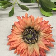 IMG_4134