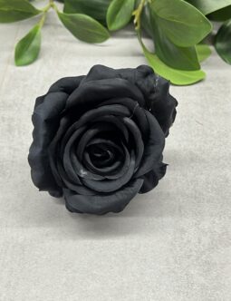 Róża Pąk N-005