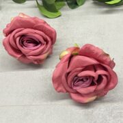 IMG_4550