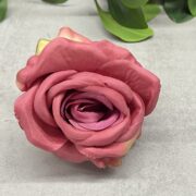 IMG_4551