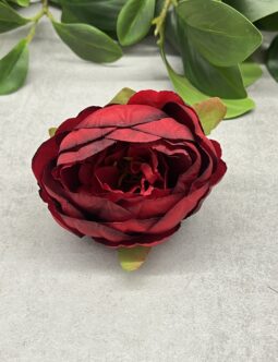 Peonia wyrobowa N006