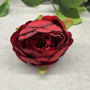 IMG_4553