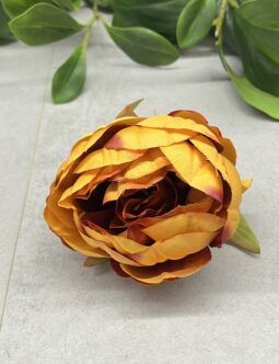 Peonia wyrobowa N006