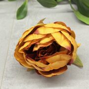 IMG_4555