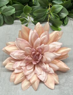 Dalia wyrobowa FME074053