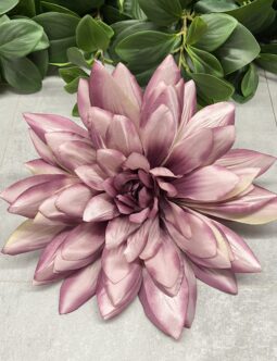 Dalia wyrobowa FME074053
