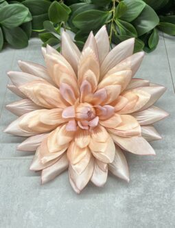 Dalia wyrobowa FME074053