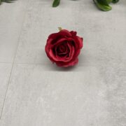IMG_0550