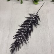 IMG_0557