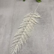 IMG_0560