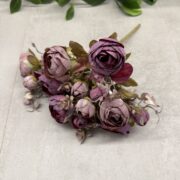 IMG_0579