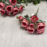 IMG_0597