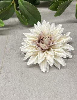 Dalia wyrobowa SUN905