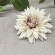 IMG_1675