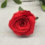 IMG_4507