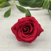 IMG_4509
