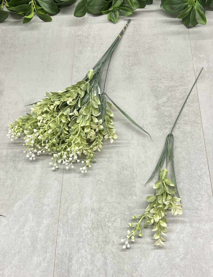 IMG_5064