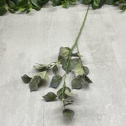 IMG_5101