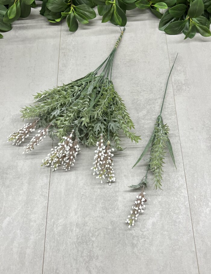 IMG_5168