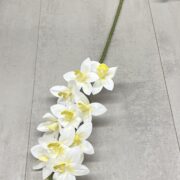 IMG_5297