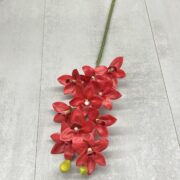 IMG_5302