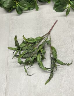 Dodatek Bukiet Paproć Zanokcica CV36131