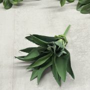 IMG_5410