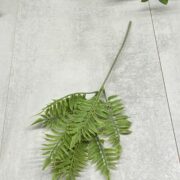 IMG_5482