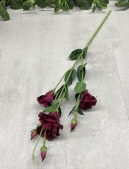 Eustoma Długa SUN345